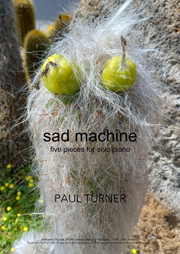 Sad Machines