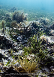 Seagrass Anthology, The