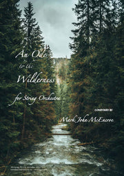 An Ode to the Wilderness