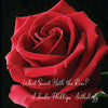 What Secret Hath the Rose - CD